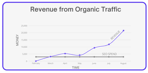 revenue increase from organic traffic case study